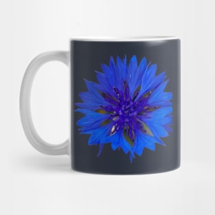 Cornflower Royal Blue Flower Mug